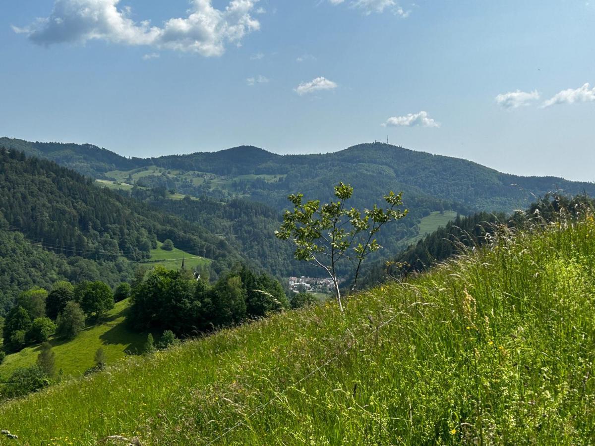 Cella Apartments **** Zell im Wiesenthal 외부 사진